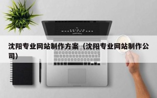 高安沈阳专业网站制作方案（沈阳专业网站制作公司）